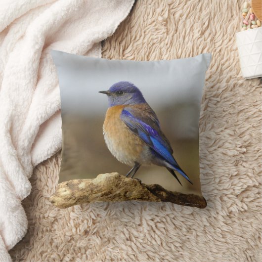 鳥、Bluebird、両面 クッション (ブランケット)