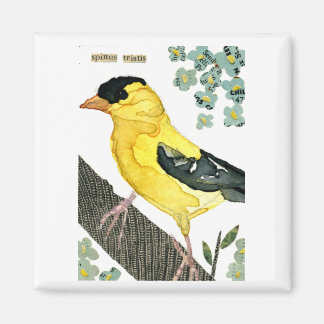 鳥： Goldfinch マグネット