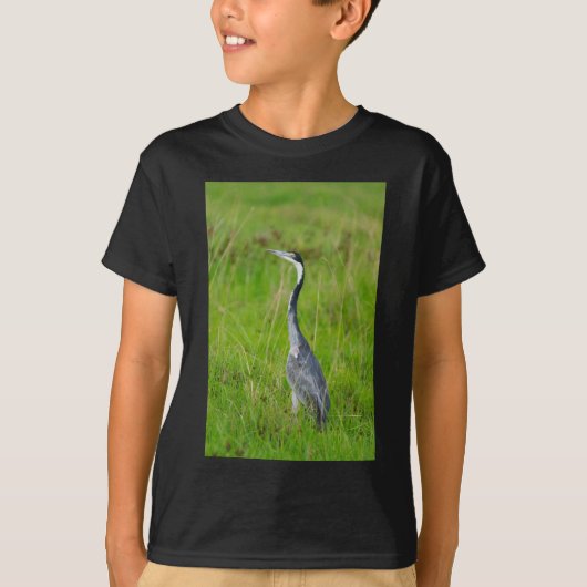 鳥 Tシャツ (正面)