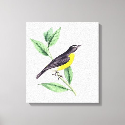 鳥 | Zazzle_Growshop。 キャンバスプリント (正面)