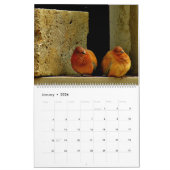 鳩およびハト カレンダー (1月 2026)