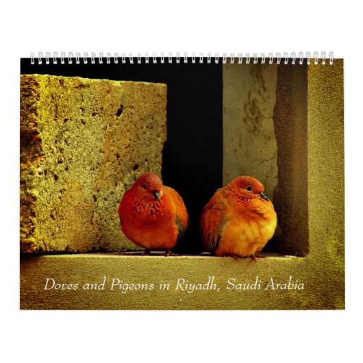 鳩およびハト カレンダー (カバー)