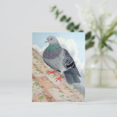 鳩が屋根の上に寝ている ポストカード (スタンド正面)