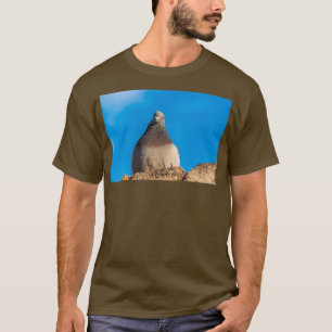 鳩が石の壁に座って Tシャツ