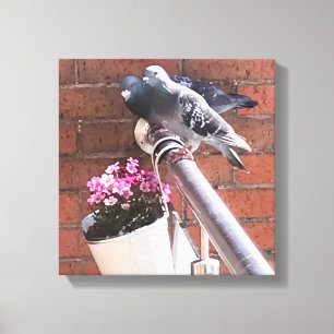 鳩と花 キャンバスプリント