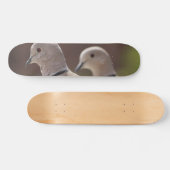 鳩のペア スケートボード (横)