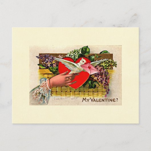 鳩のメッセンジャーのバレンタイン シーズンポストカード (正面)