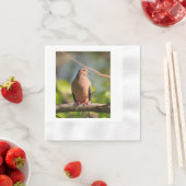 鳩の写真が印刷されたカクテルナプキン 縁ありカクテルナプキン (インサイチュ)