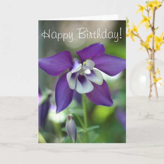 鳩の花の写真 カード (黄色い花)