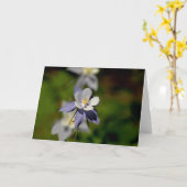 鳩の花7 カード (黄色い花)