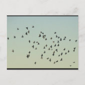 鳩の飛翔 ポストカード (正面)