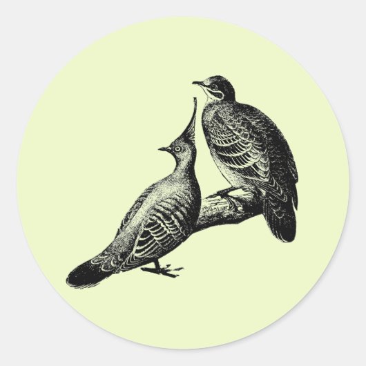 鳩の鳥類野生動物の自然イラストレーション ラウンドシール (正面)