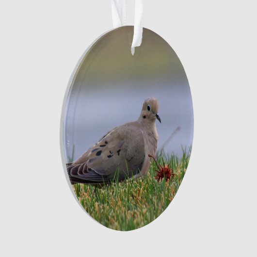 鳩の鳥 オーナメント (正面)