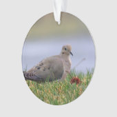 鳩の鳥 オーナメント (正面)