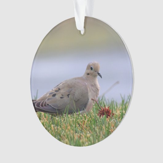 鳩の鳥 オーナメント (正面)