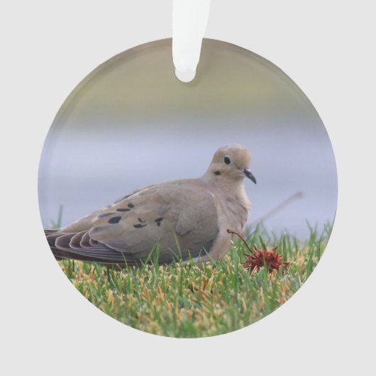 鳩の鳥 オーナメント (正面)