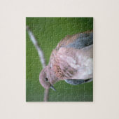 鳩の鳥 ジグソーパズル (縦)