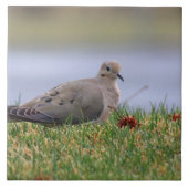 鳩の鳥 タイル (正面)