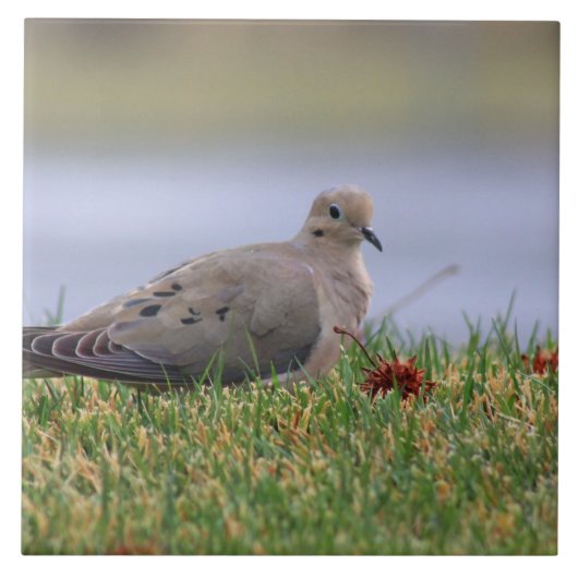 鳩の鳥 タイル (正面)