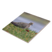 鳩の鳥 タイル (側面)