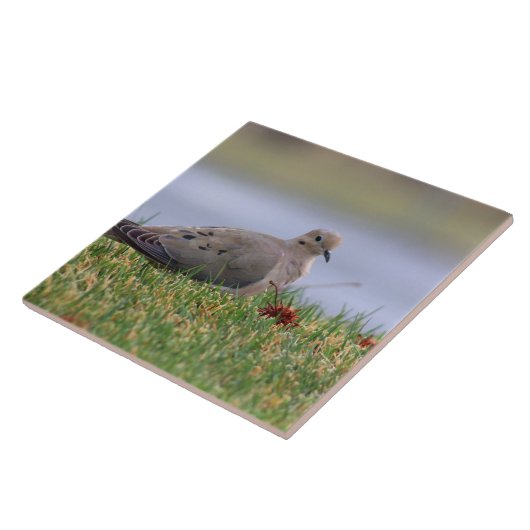 鳩の鳥 タイル (側面)