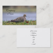 鳩の鳥 名刺 (正面/裏面)