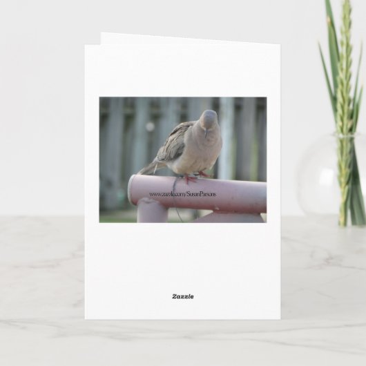 鳩を祈ること カード (裏面)