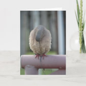 鳩を祈ること カード (正面)