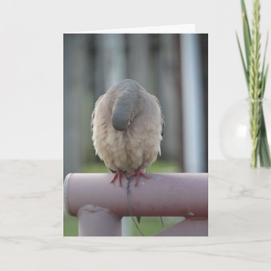 鳩を祈ること カード (正面)