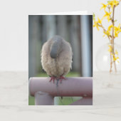 鳩を祈ること カード (黄色い花)