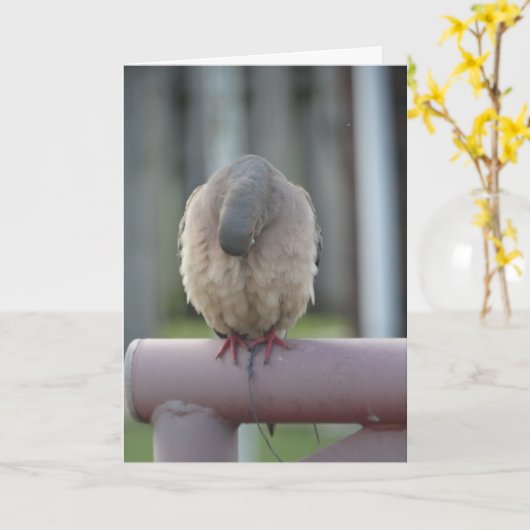 鳩を祈ること カード (黄色い花)