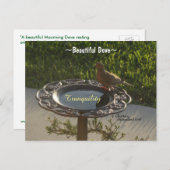 鳩バードバードバス静かなスパイゲランド葉書 ポストカード (正面/裏面)