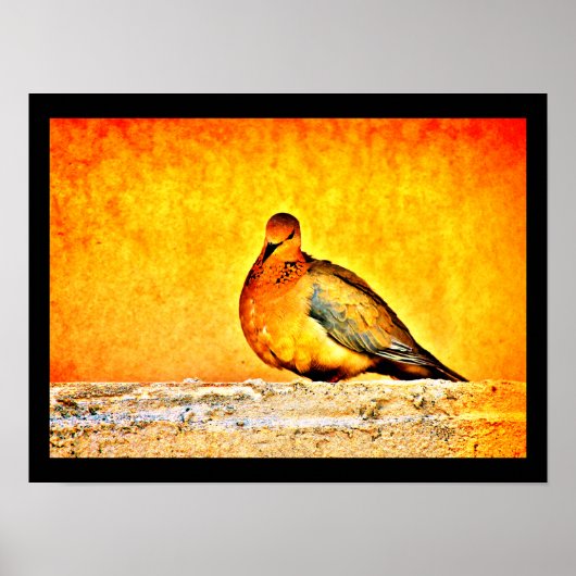 鳩プリンセス ポスター (正面)