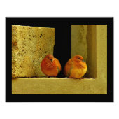 鳩ペア フォトプリント            (正面)