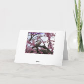 鳩及びRedbudの花 カード (裏面)