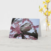 鳩及びRedbudの花 カード (黄色い花)