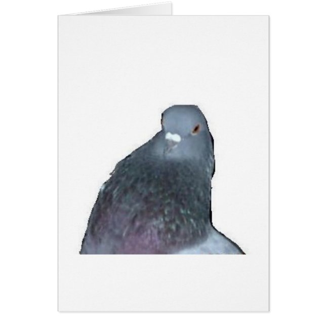 鳩 (正面)