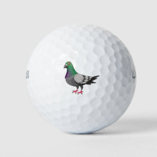 鳩 ゴルフボール