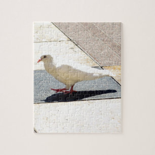 鳩 ジグソーパズル
