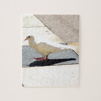 鳩 ジグソーパズル