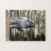鳩 ジグソーパズル (横)