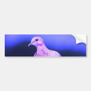 鳩 バンパーステッカー