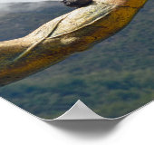 鳩、パチャクティ像の腕、アグアスカリエンテス、パー ポスター (角)