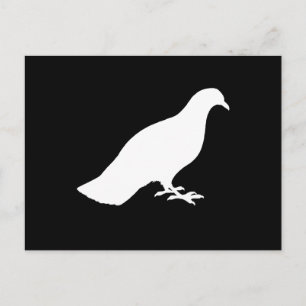 鳩 ポストカード
