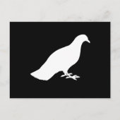 鳩 ポストカード (正面)