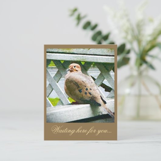 "鳩" ポストカード (スタンド正面)