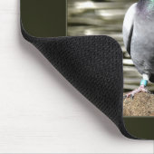 鳩 マウスパッド (コーナー)