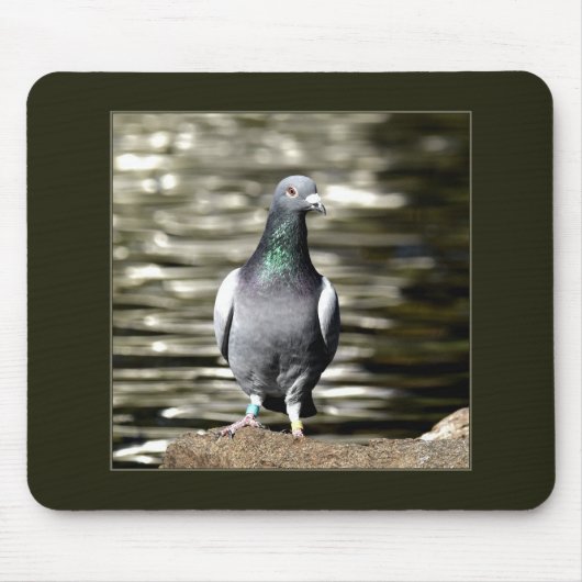 鳩 マウスパッド (正面)