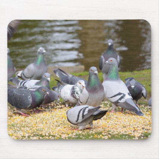 鳩 マウスパッド (正面)