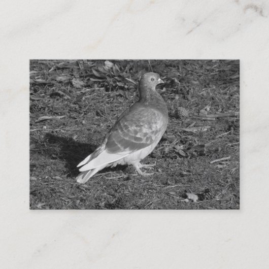 鳩 BW 名刺 (正面)